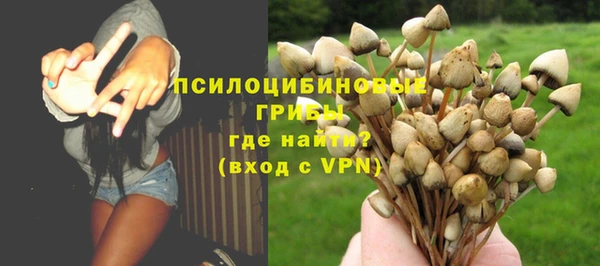 стафф Баксан