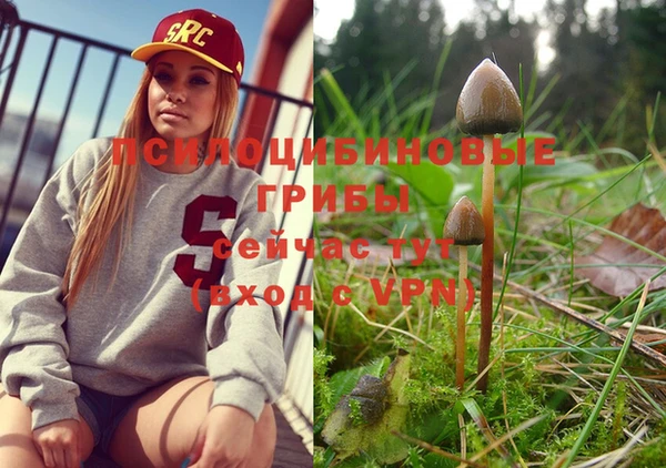 стафф Баксан
